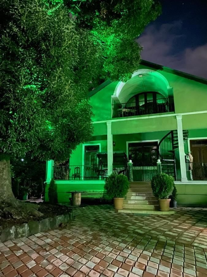 Apartment Green House Makhindzsauri Kültér fotó