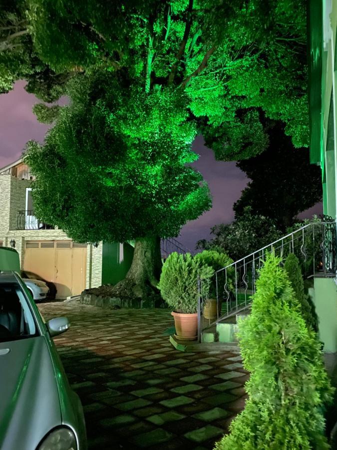 Apartment Green House Makhindzsauri Kültér fotó