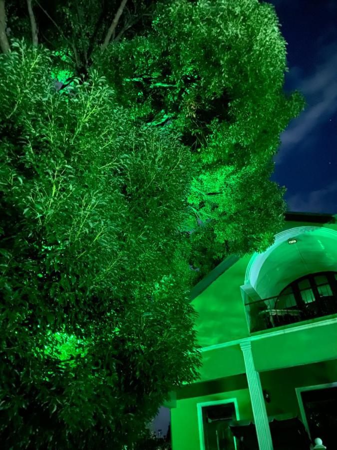 Apartment Green House Makhindzsauri Kültér fotó